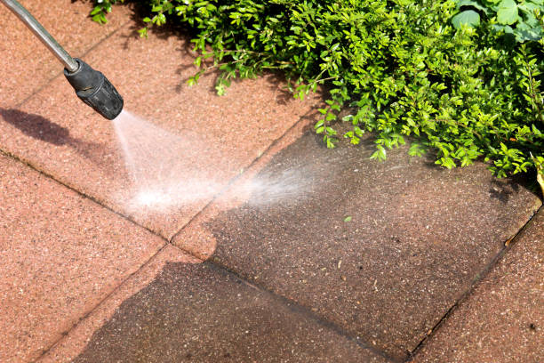 Best Roof Pressure Washing  in Abilene, TX